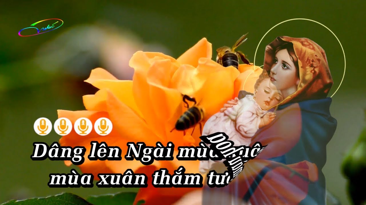 LỄ DÂNG NGÀY XUÂN KARAOKE HD