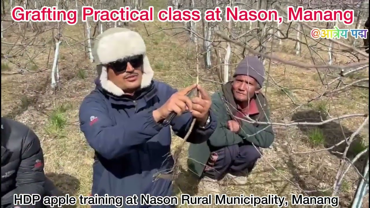Practical Grafting Class at Manang
