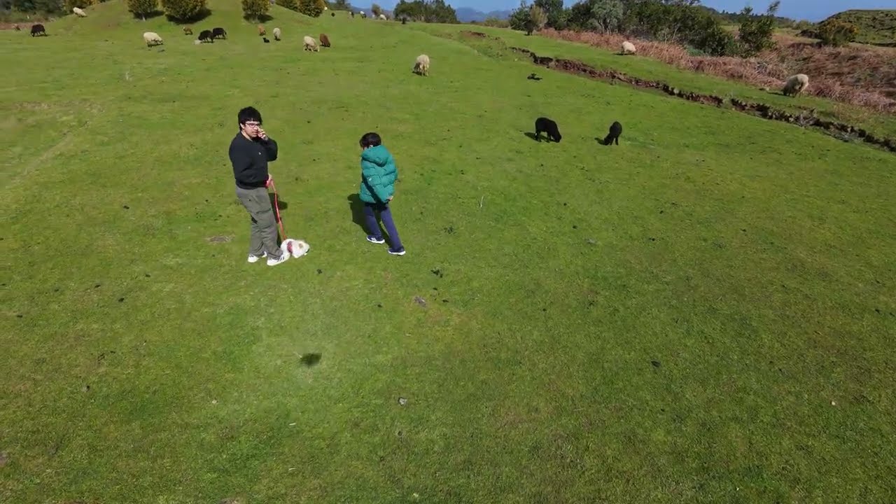 Playing around with DJI NEO 2