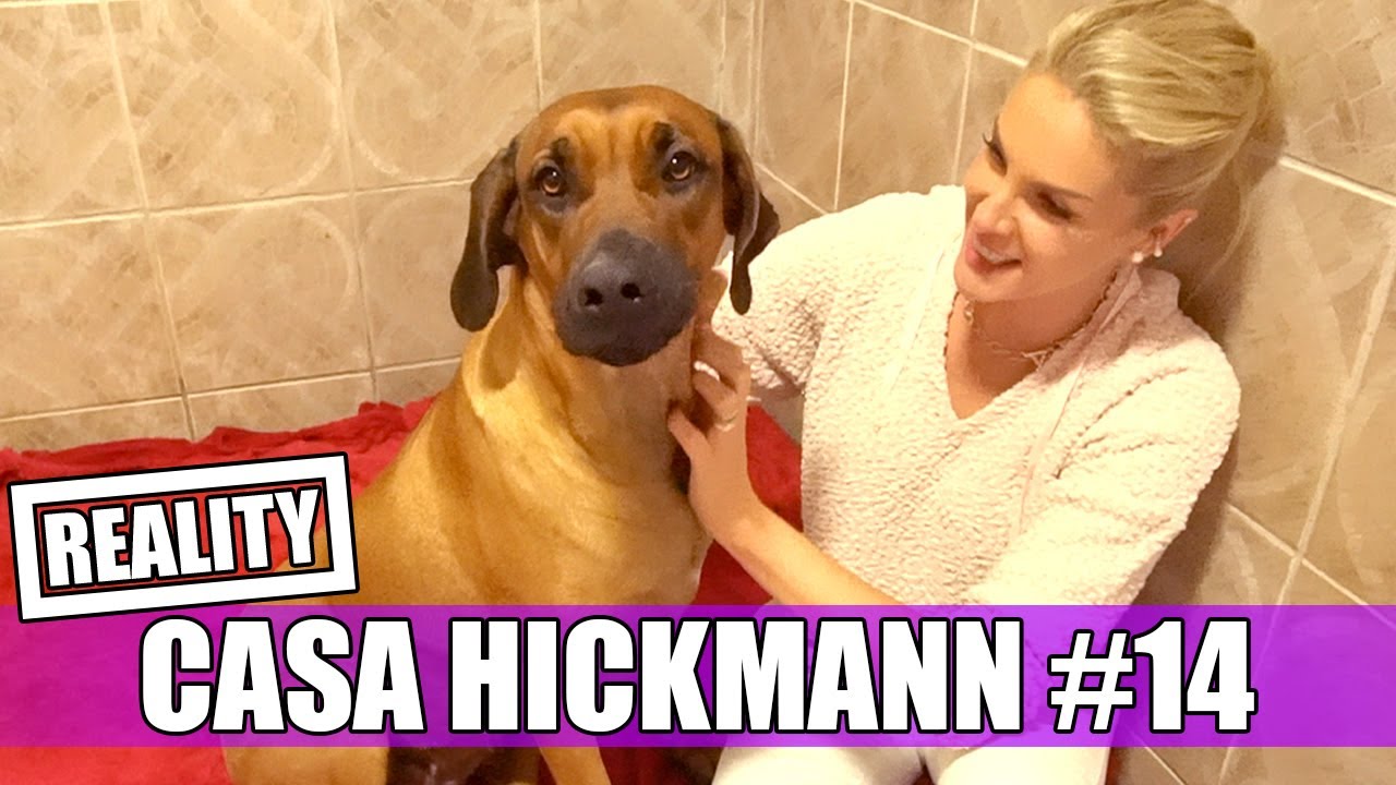 CASA HICKMANN #14 | A FAMÍLIA VAI AUMENTAR