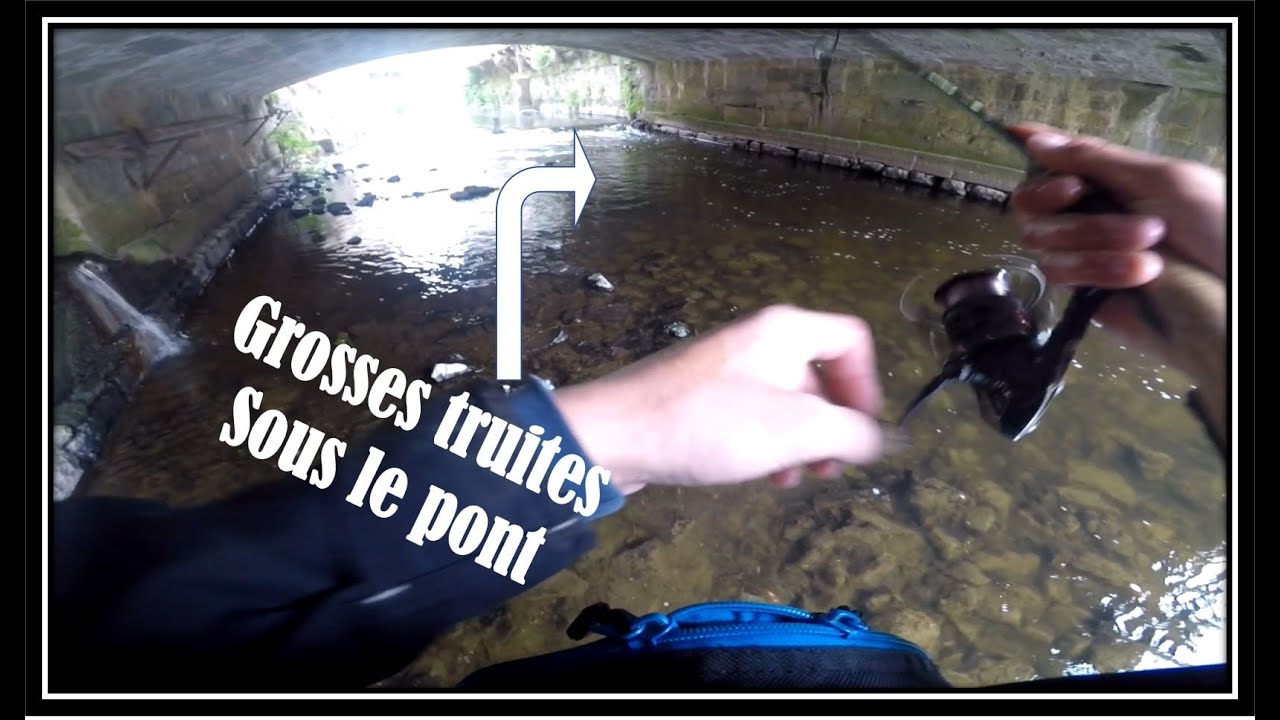 A la recherche des belles truites❗