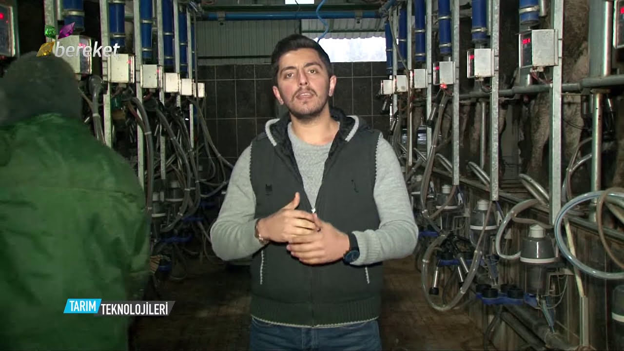 @BereketTV  Tarım Teknolojileri -  Süt Sağım Teknolojilerini İnceliyoruz