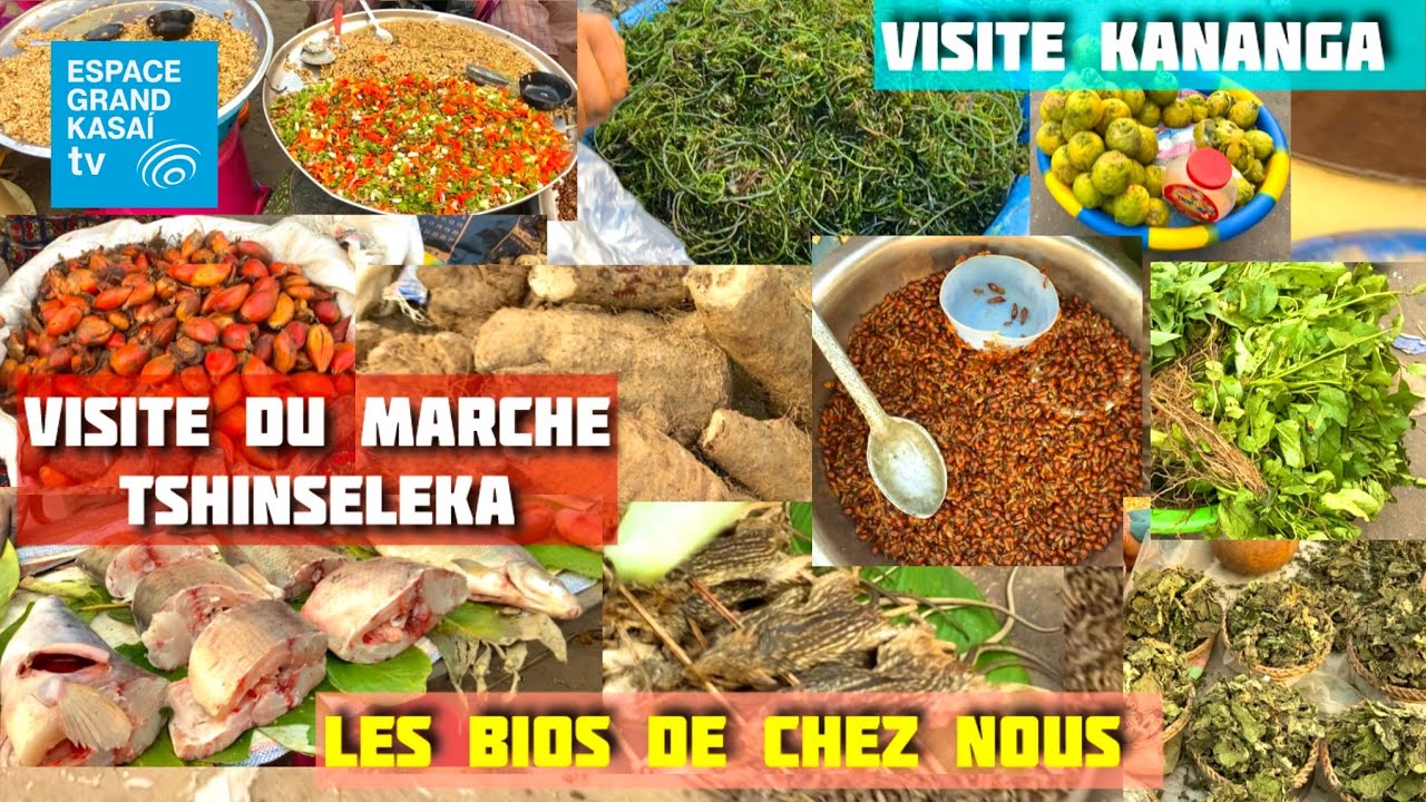 #Visite du Marché Tshinséleka à Kananga | À la Découverte des Richesses Naturelles du Kasaï Central