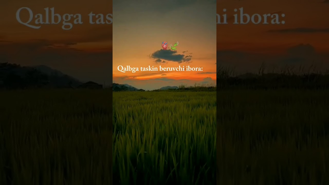 #dardli #videolar #rek