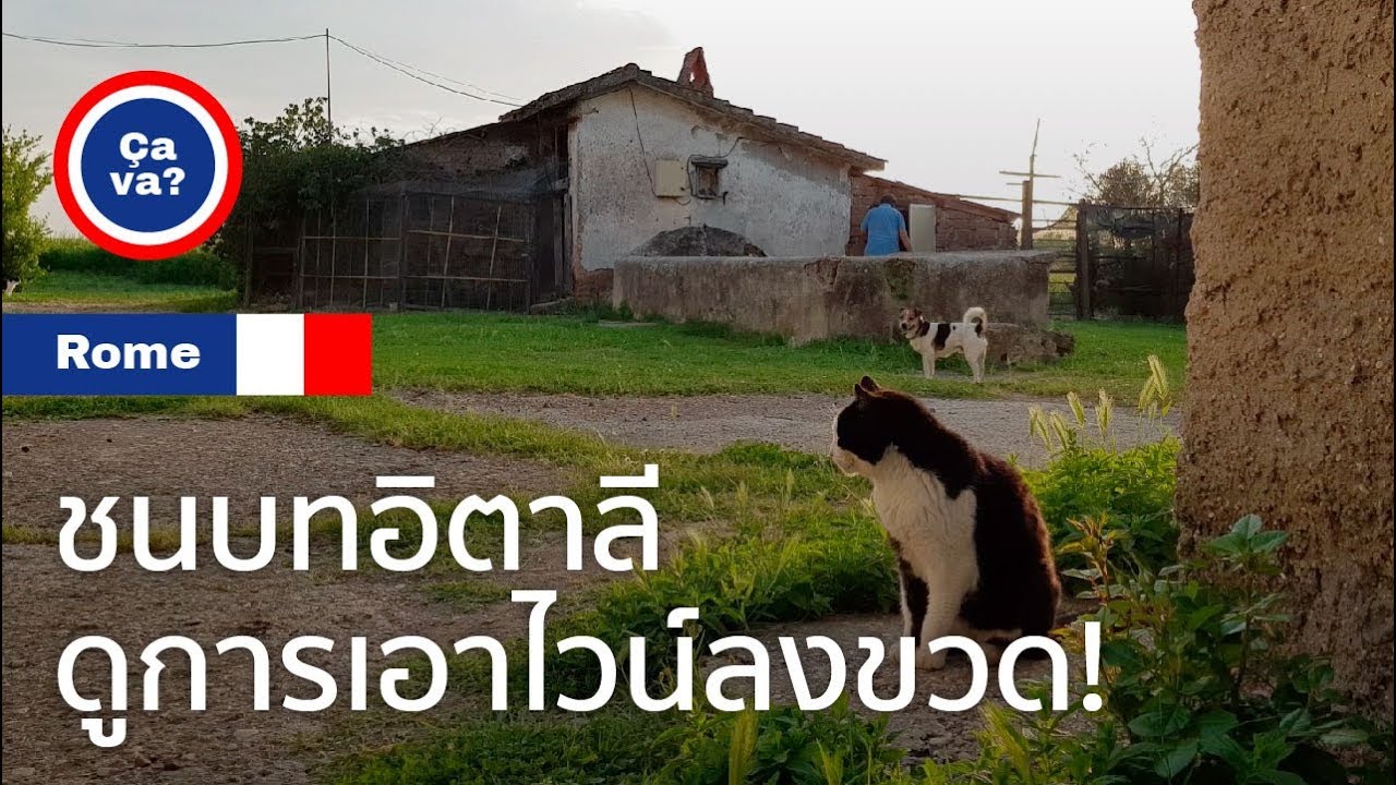 Ciao da Roma ! Ep.2 - เอาไวน์ลงขวด !