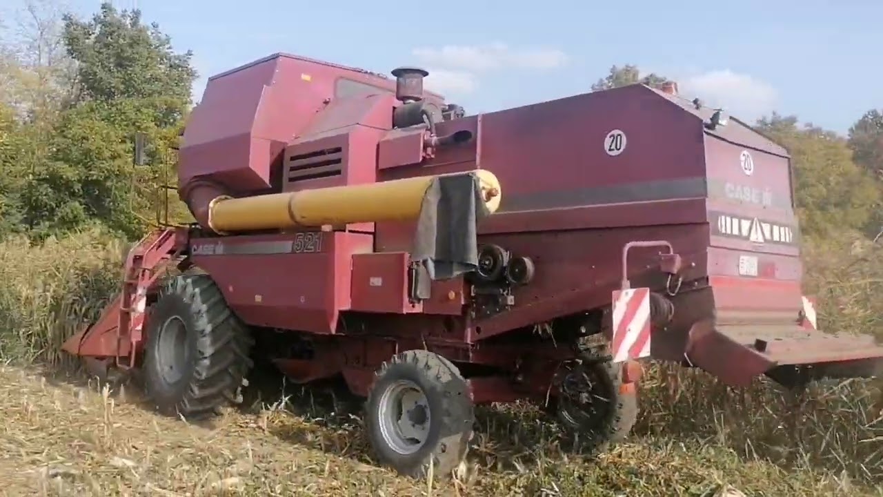 Kukorica aratás 2022 Case Ih 521.  [Nád vágás]