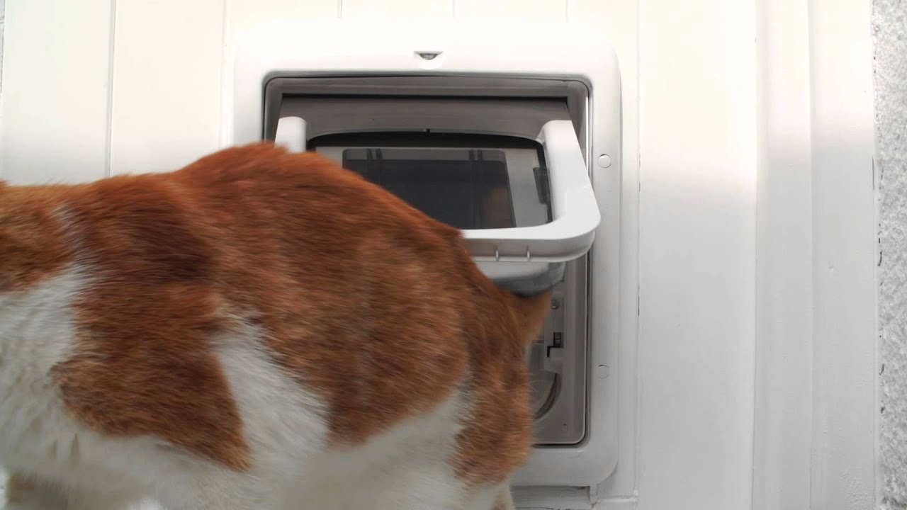 Staywell&reg; Pet Doors - Give your pets the freedom they deserve.