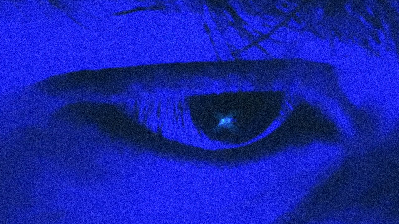 SALVA - CATHARSIS