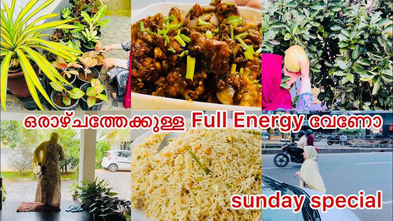 5:30Am Mindful morning#Perfect fried rice recipe#sunday special vlog#outing