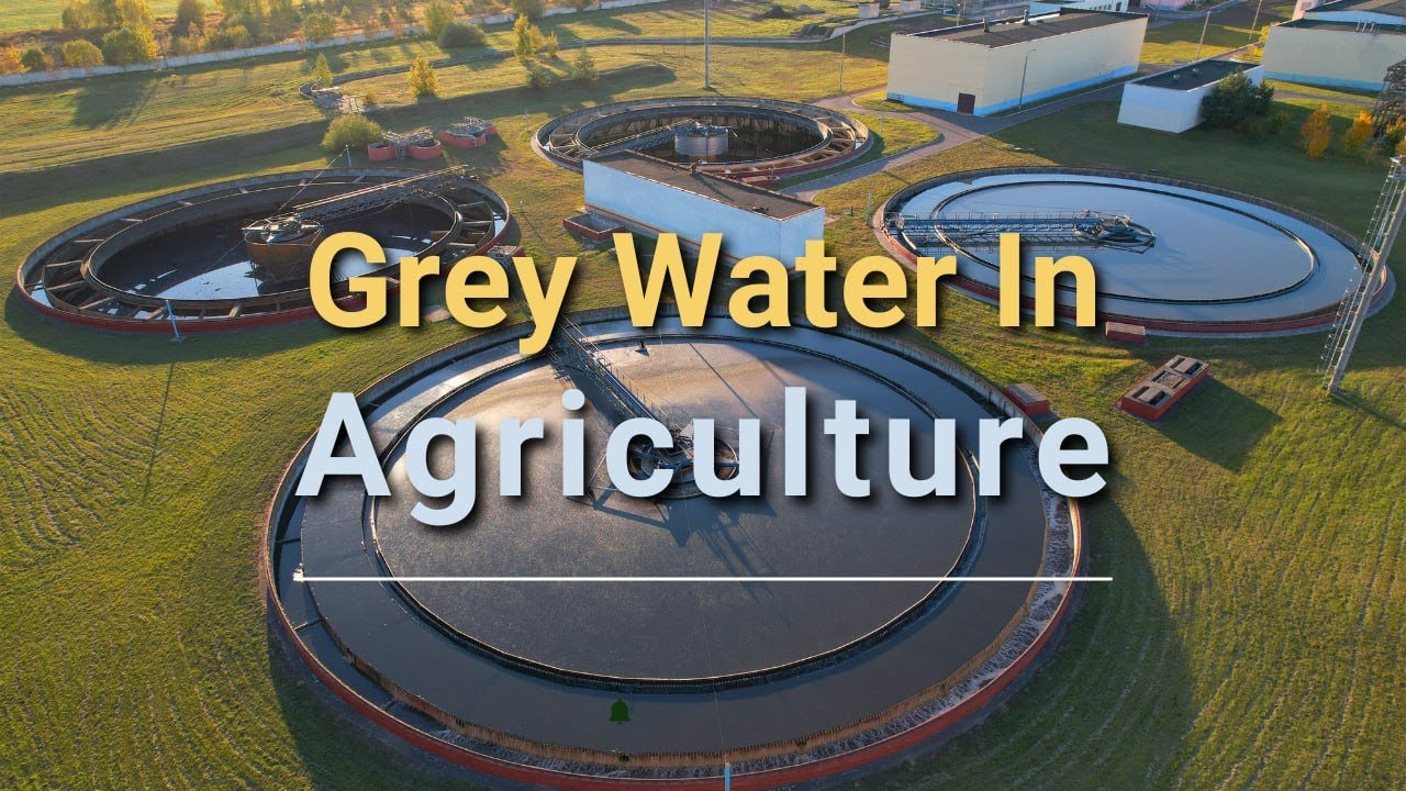 Greywater: A Sustainable Solution for Water-Efficient Agriculture