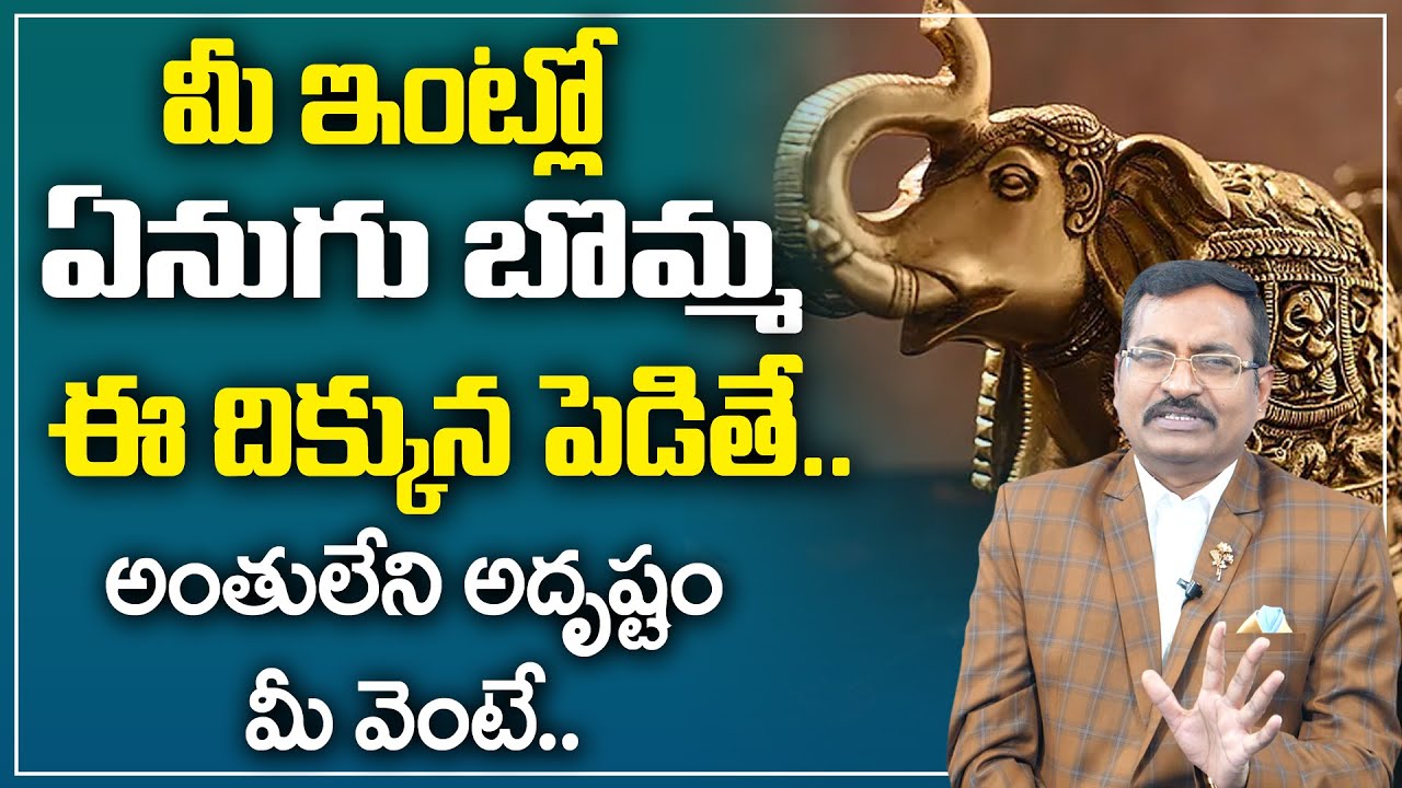 BVSS reddy : Elephant Placement in Vastu || Elephant Doll In Home || Best Vastu Tips || M Qube