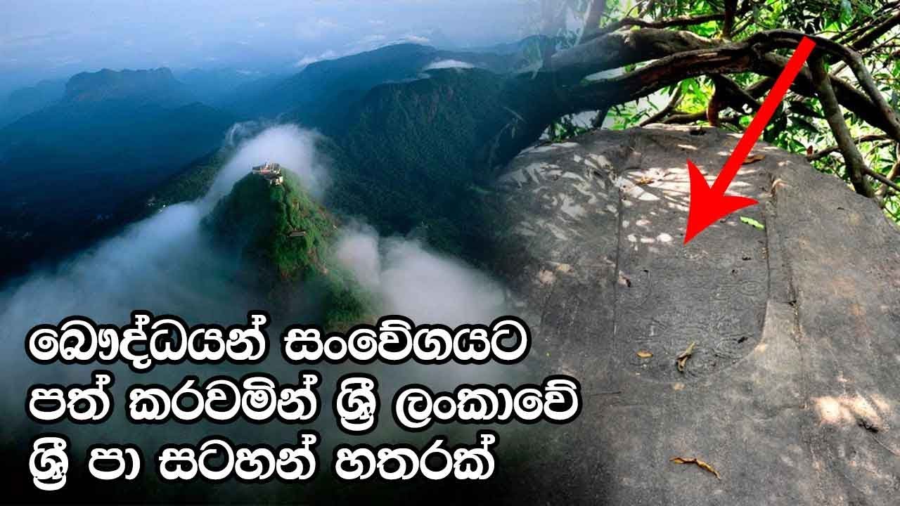 බෞද්ධයන් සංවේගයට පත් කරවමින් ශ්‍රී ලංකාවේ ශ්‍රී පා සටහන් හතරක්‌  - The Footprint of Sri Pada