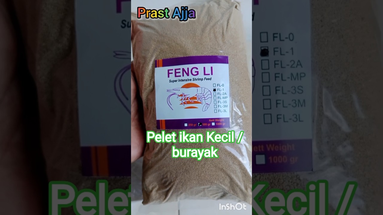 Yang Banyak dicari Peternak Ikan kecil PELET FENG LI #viral