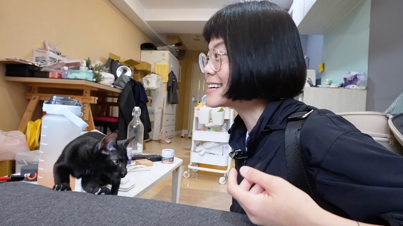 養貓沒有固定公式，和貓相處是我們的生活。🐈‍⬛【給貓主人的到府課程🐱】