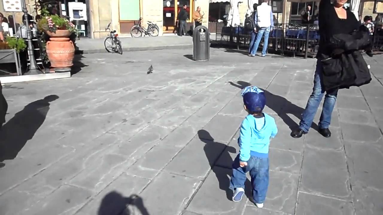 Its the birds