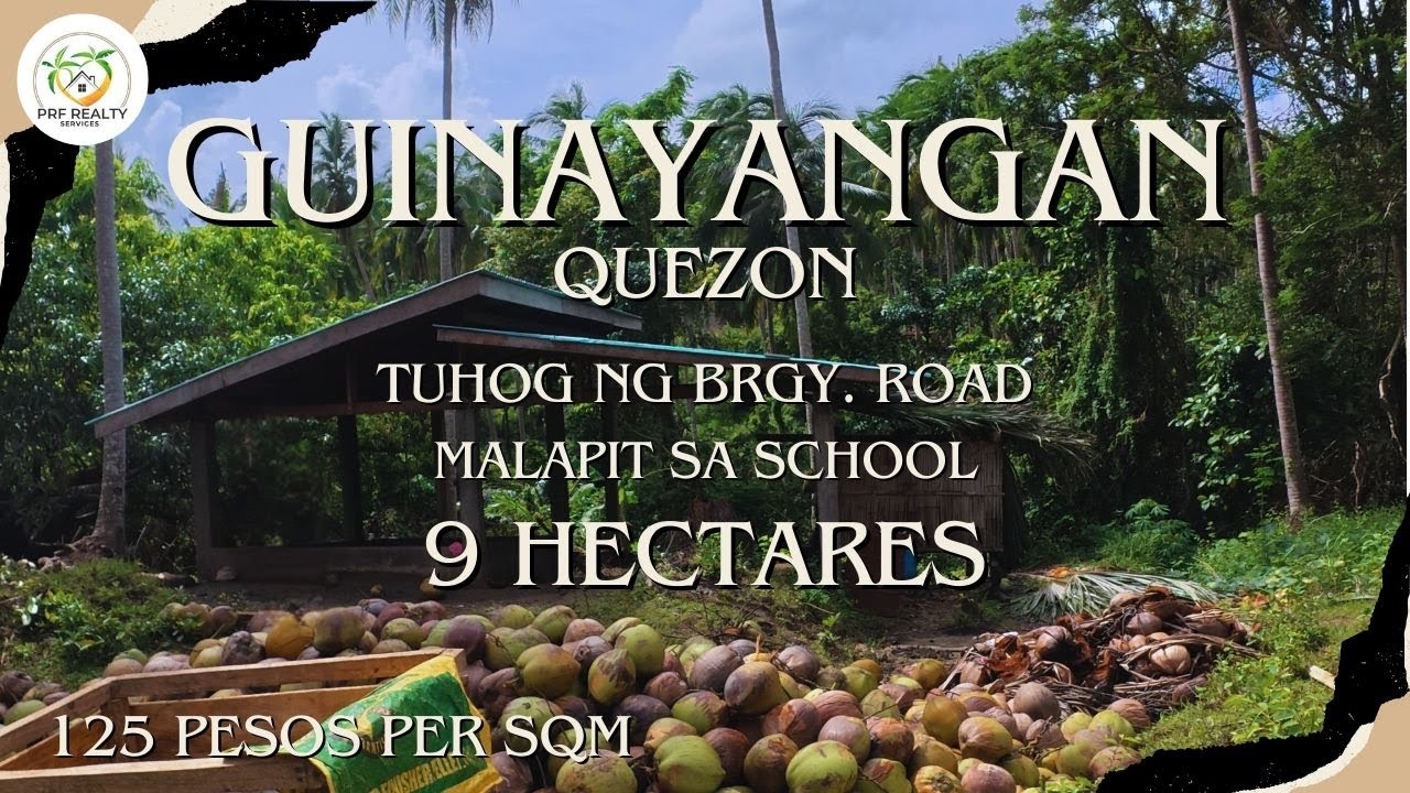A67 -Property of Guinayangan | 9 Hectares | Good for Farming | Full of Coconut trees |