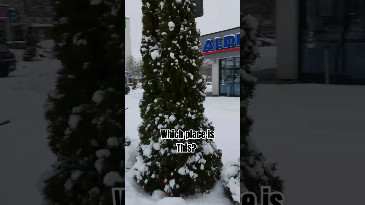 A beautiful snow day in poland #polandvlog #winterfreeze #ofwinpoland #poland #snow #workpermit