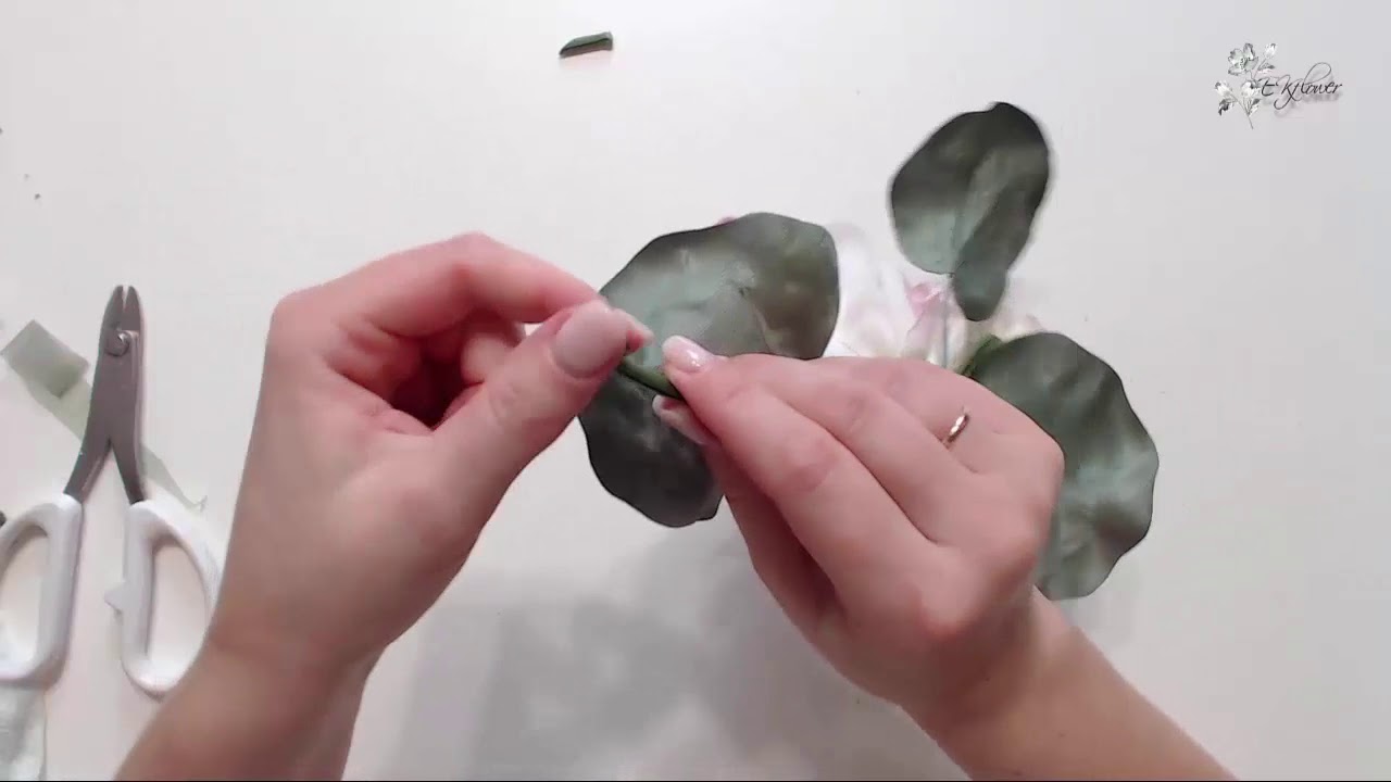 Лотос Укорачиваем стебель