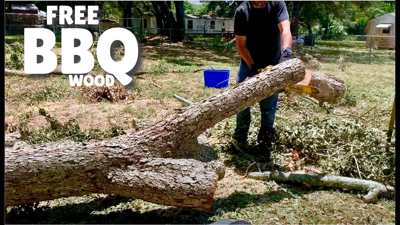 Free BBQ Pecan Wood (cut, split and stack)