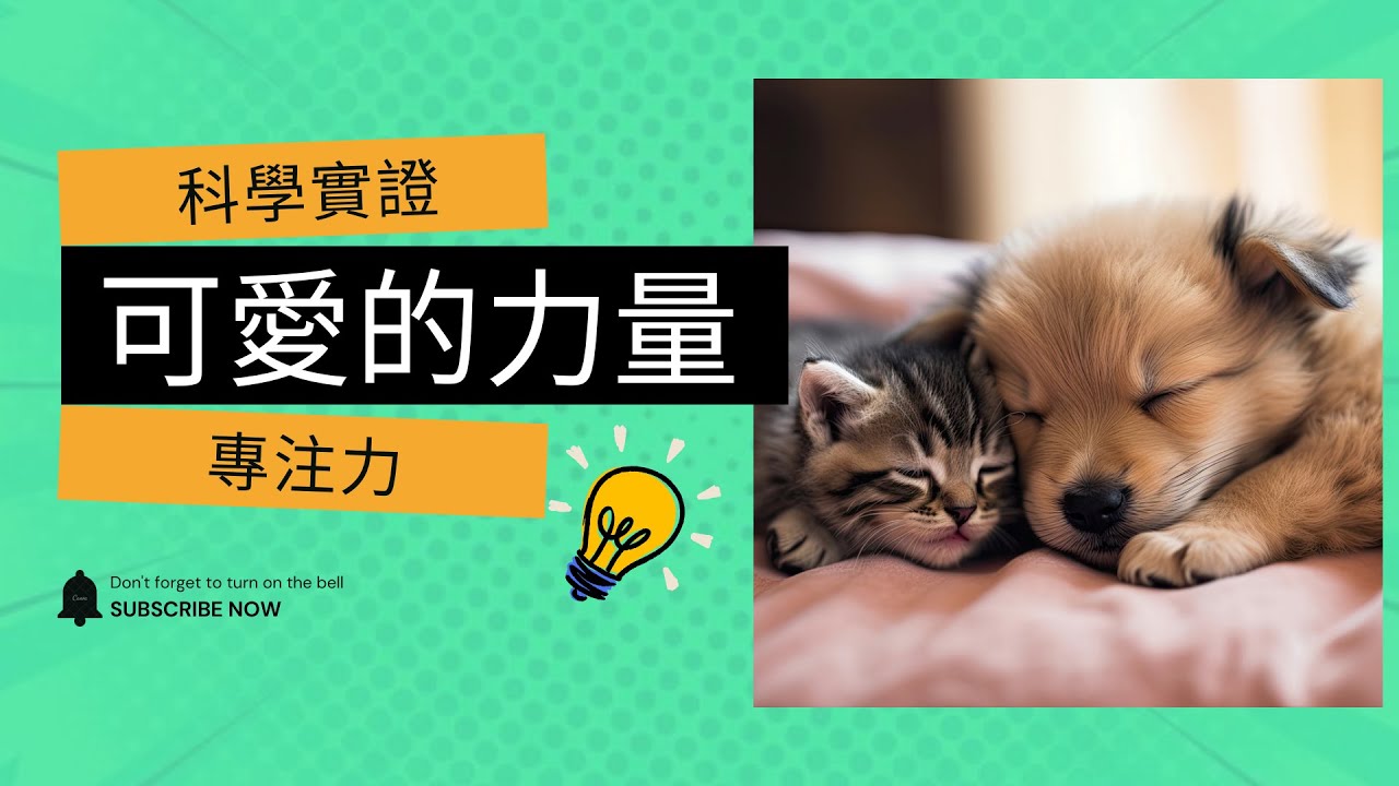 0060 小貓小狗的可愛力量 | 意想不到的大腦提升專注力