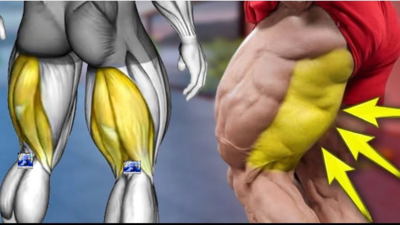 🔥 ¡Transforma tus Isquiotibiales con este entrenamiento EXTREMO! 💪