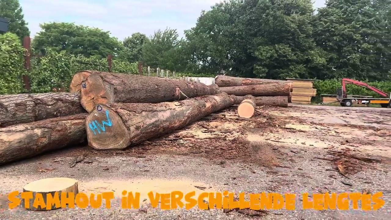 👀 binnenkijken bij Hout op Maat in Ruurlo?Check dit filmpje en zie hoe wij jouw hout op maat maken