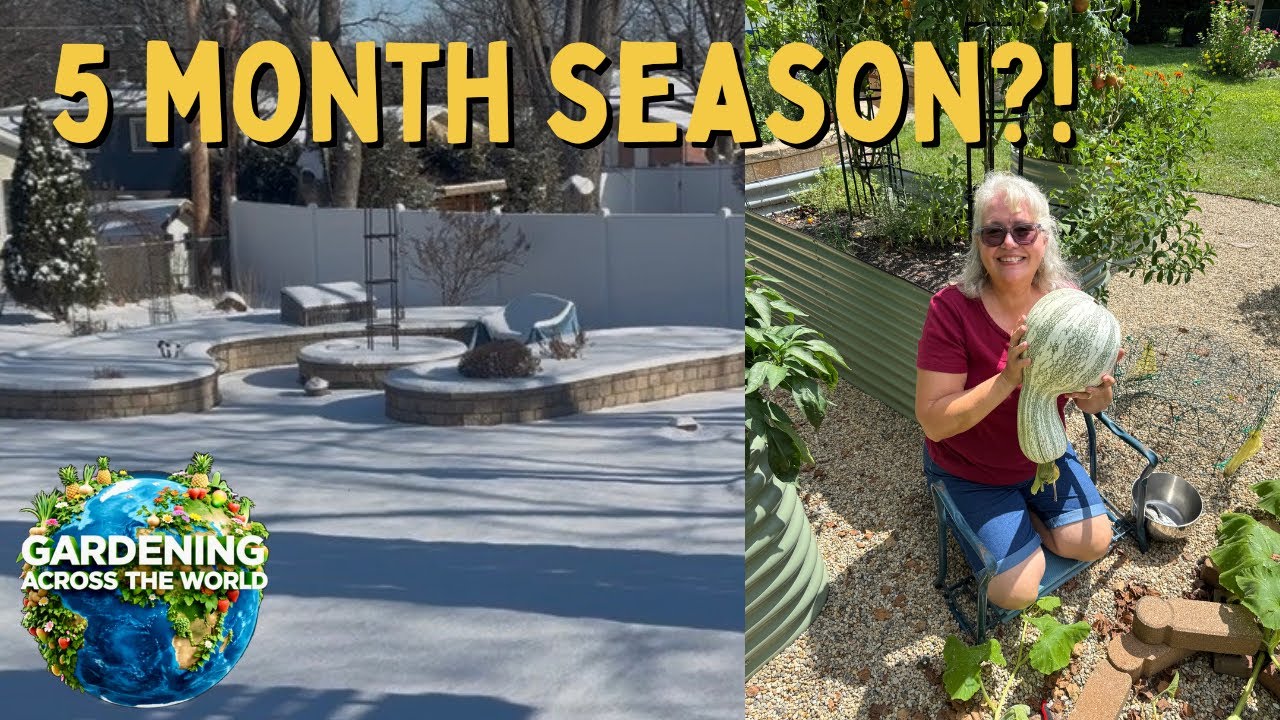 Как вырастить больше за короткий сезон (Садоводство в зоне 5b с Robin Gardens)