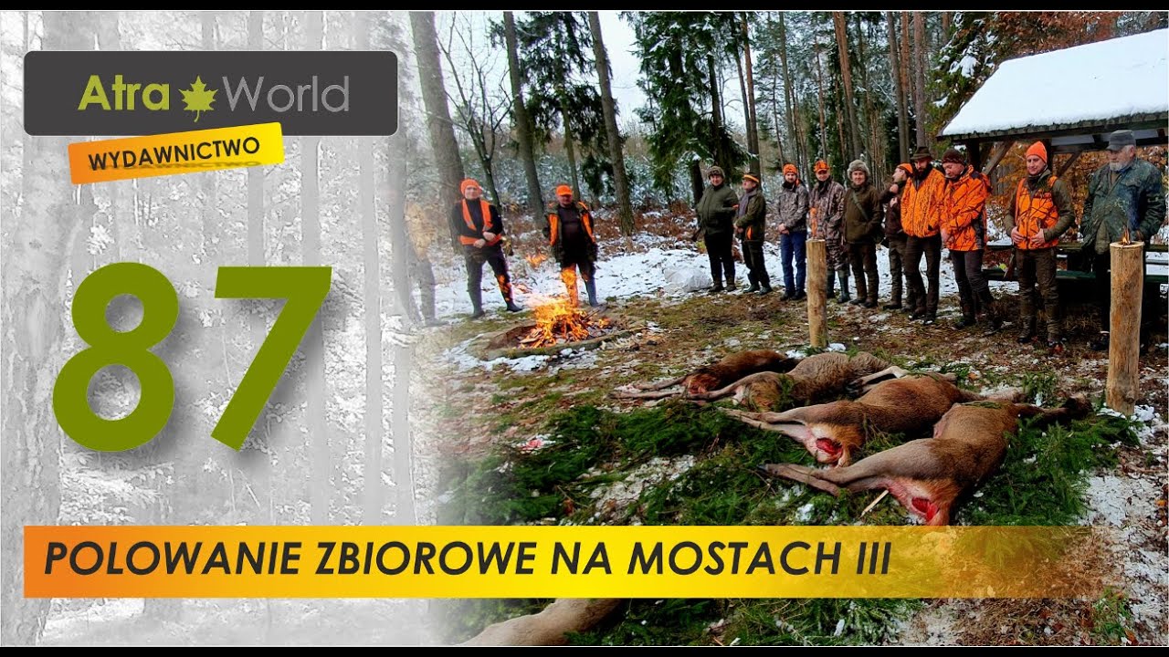 Polowanie zbiorowe  na Mostach III