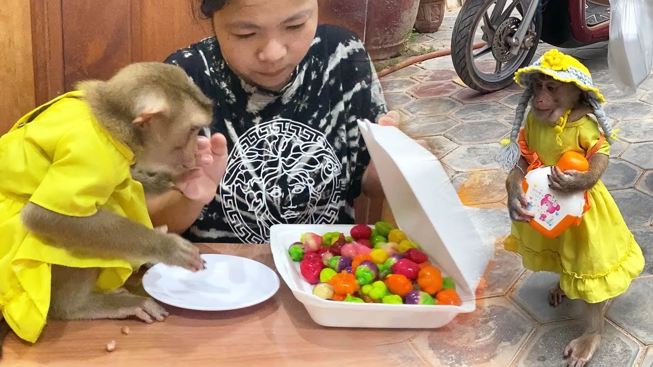 Yellowish Judee With A Pack of Rainbow Bean Cake From Market