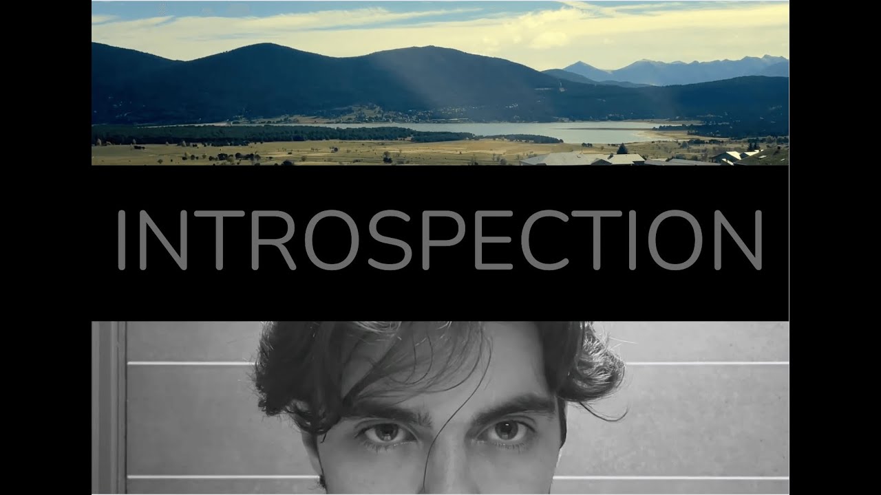 Introspection