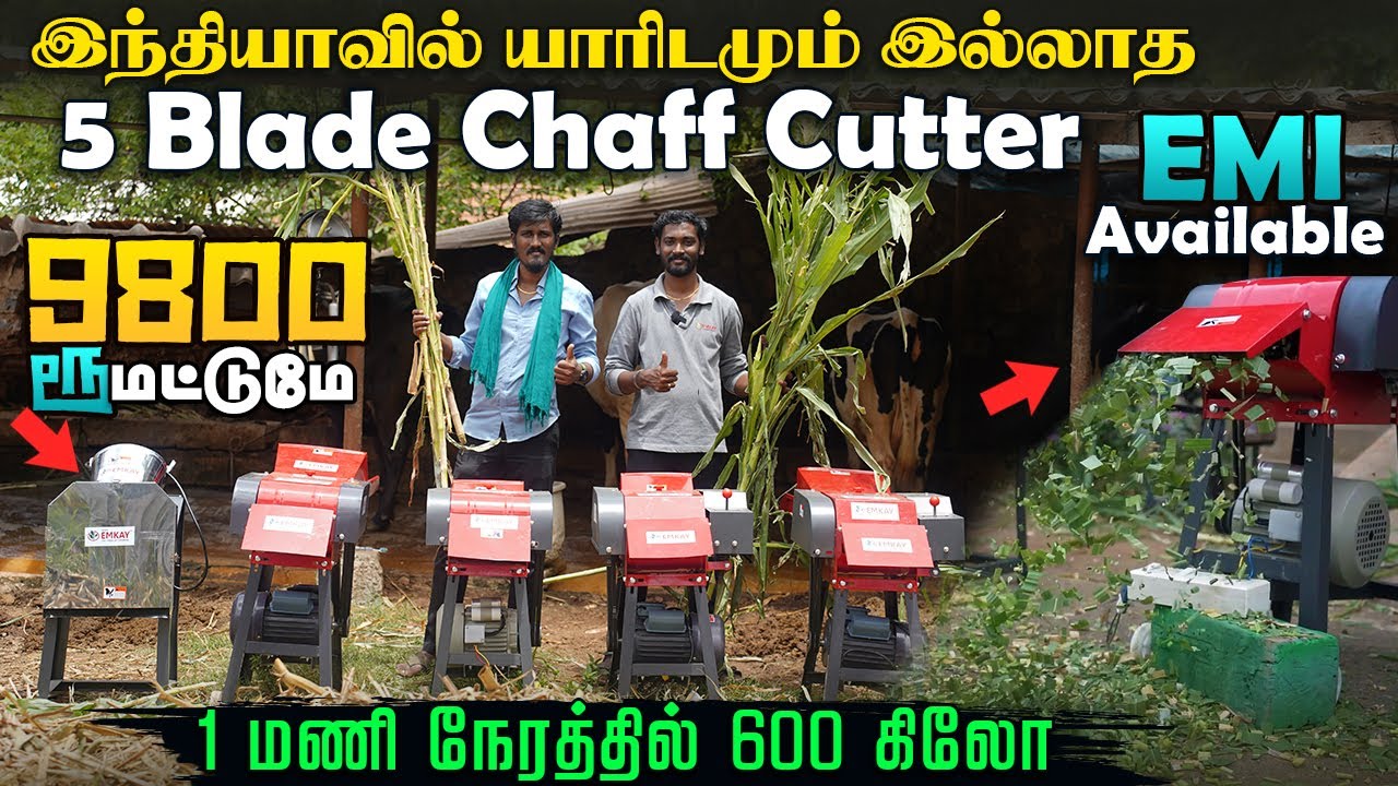 9800-Rs விலையில் 5 blade chaff cutter வாங்கலாம் | தள்ளுபடி விலையில் #chaffcutter #emkayagro