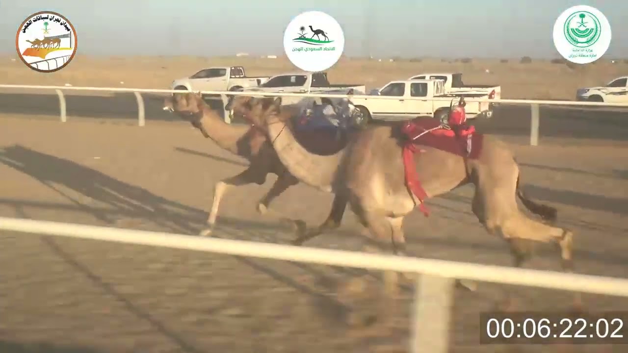 3 / قعدان جذاع / 6000 م / نهاب / عبد الله مناحي الكربي