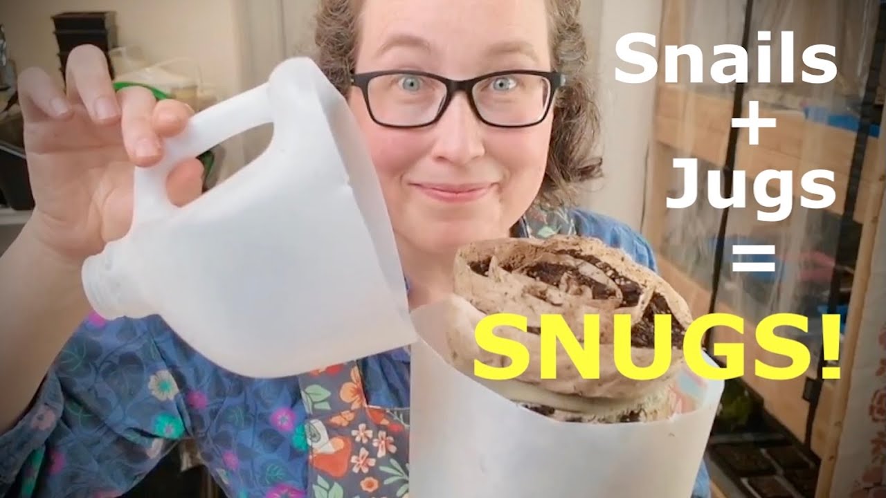 The DIY Seed Starting Trend You NEED to Try! 🌱🐌