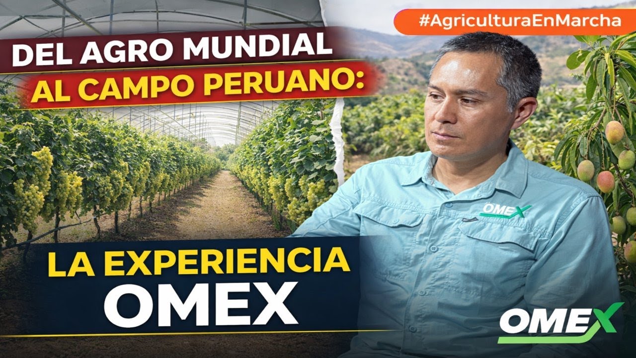 Del agro mundial al campo peruano: la experiencia OMEX@AgriculturaenMarcha