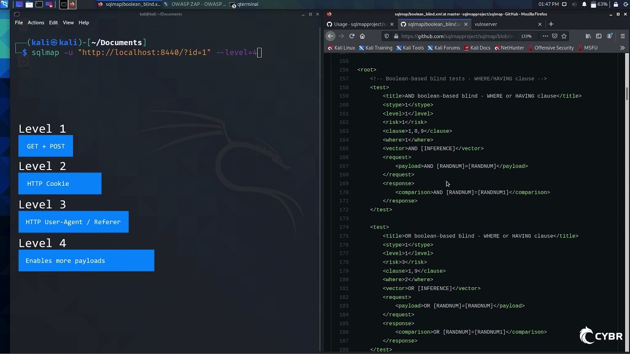 Объяснение параметров риска и уровня sqlmap (SQL-инъекции)