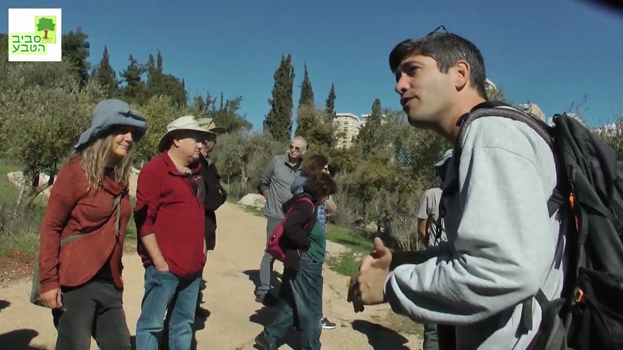 אל תשלח ידך אל העמק