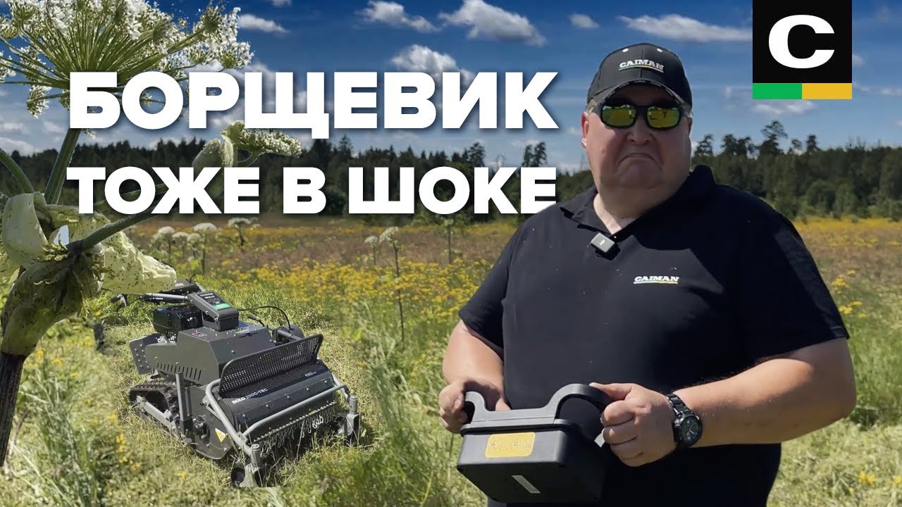 Изгнание борщевика! CAIMAN Rolo #gardening#дачасадогород #газонокосилка#садоваятехника#борщевикпокос