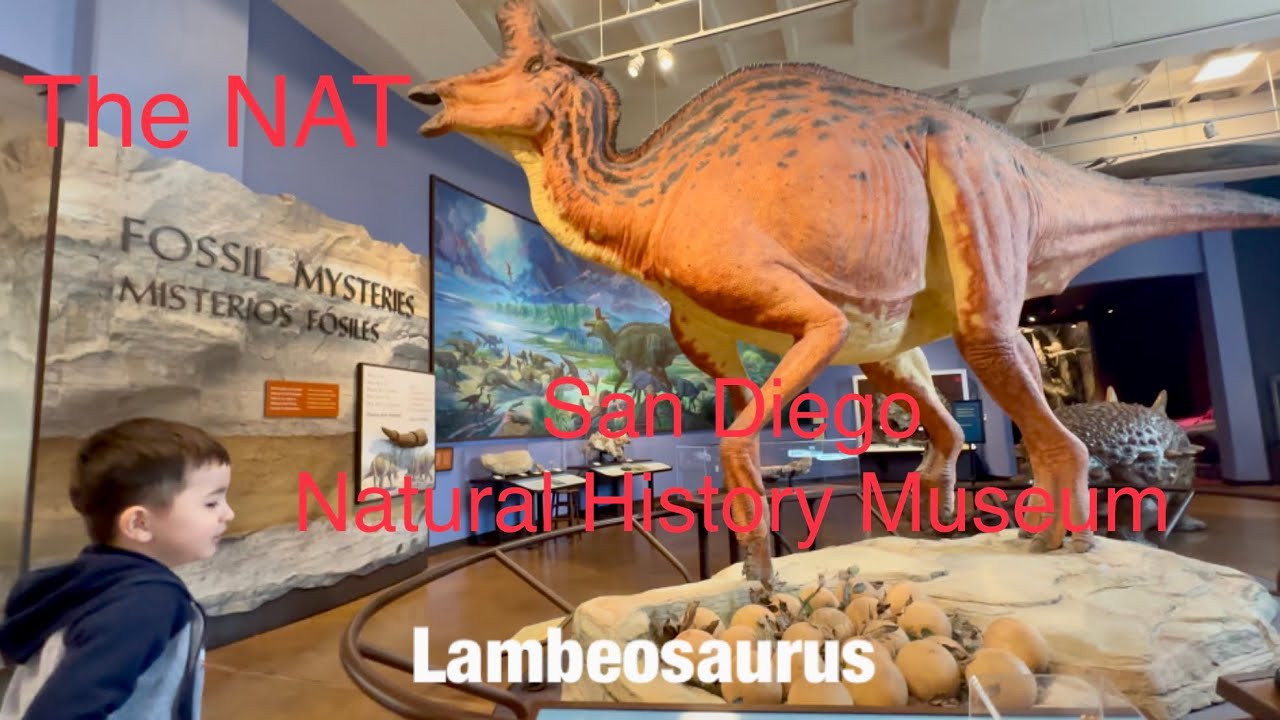 Dinosaurs and Prehistoric Animals at the NAT San Diego National History Museum #dinosaur #museum