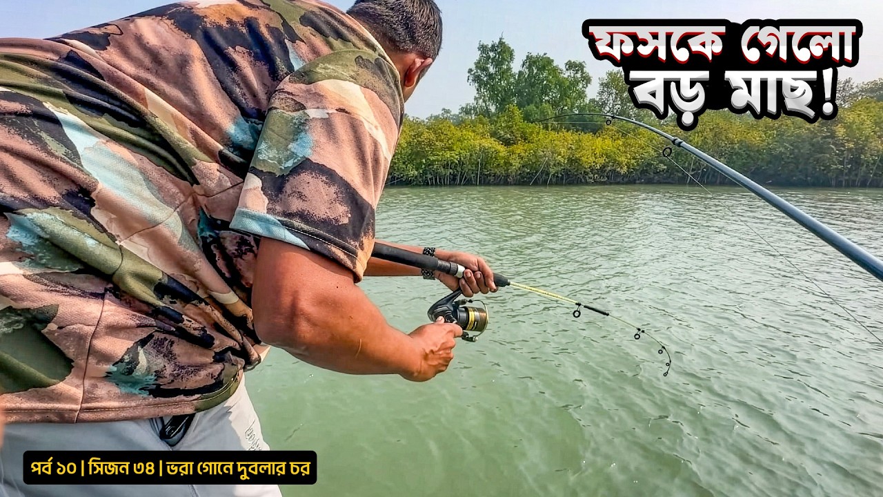ফসকে গেলো বড় মাছ | বিশাল বড় অক্টোপাস | সিজন ৩৪ | পর্ব ১০ | Sundarbans | Mohsin ul Hakim