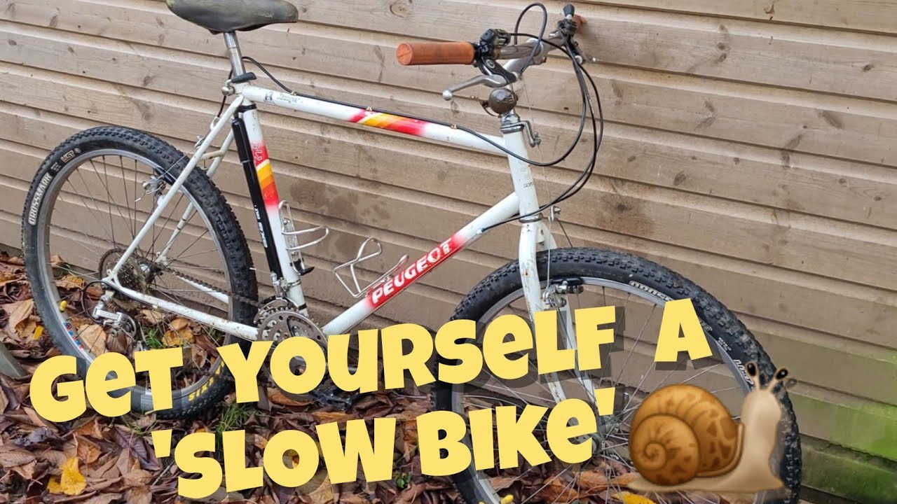 Каждому нужен медленный велосипед! 🐌