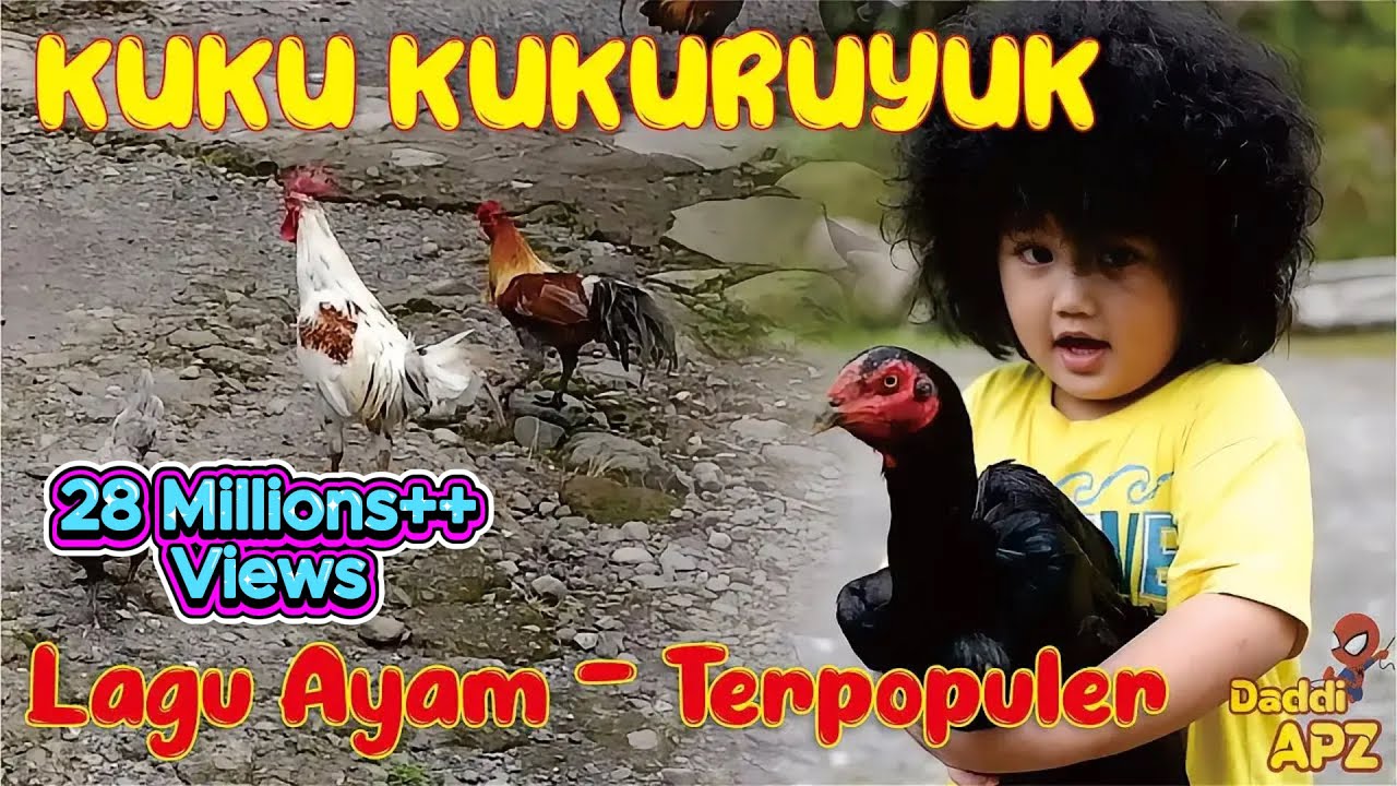 Lagu Ayam Populer Banget - Kuku Kukuruyuk -  Lagu anak indonesia
