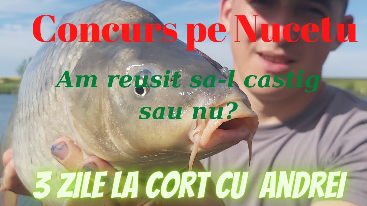 Concurs MethodFeeder Pe Nucetu