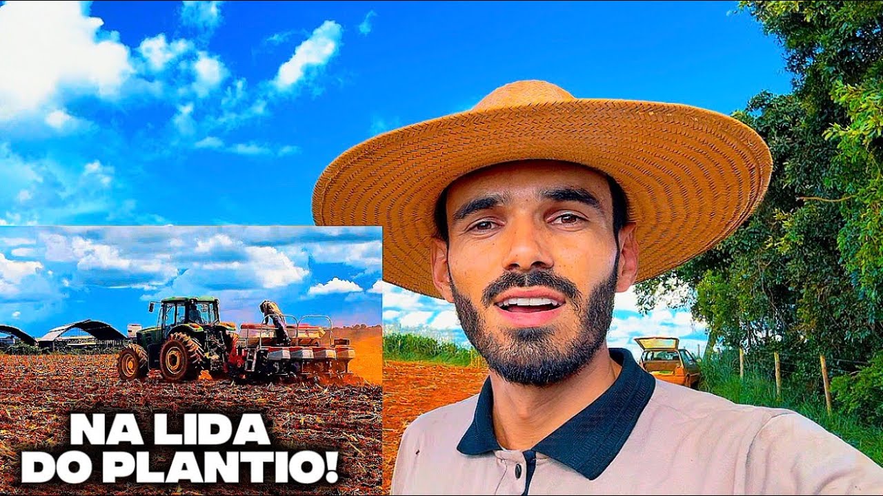 Plantando milho safrinha consorciado com braquiária!
