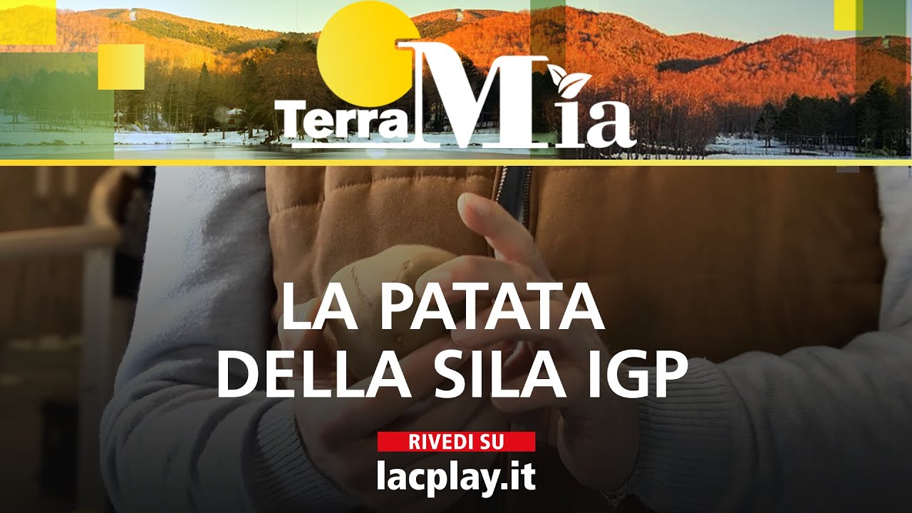 La patata della Sila Igp - Terra Mia