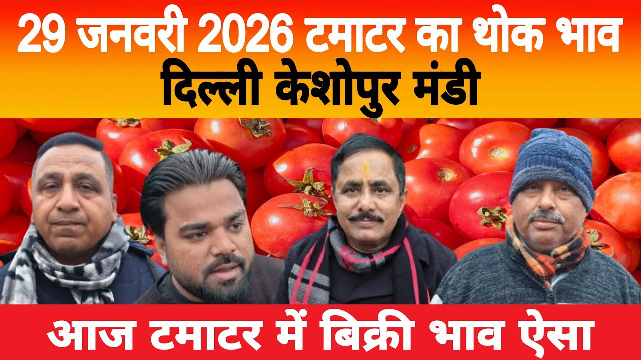 29 Jan 2026 Delhi 🍅 टमाटर होलसेल भाव | Keshopur Mandi | Today Tomato Rate #tamatar #tamatarmandi