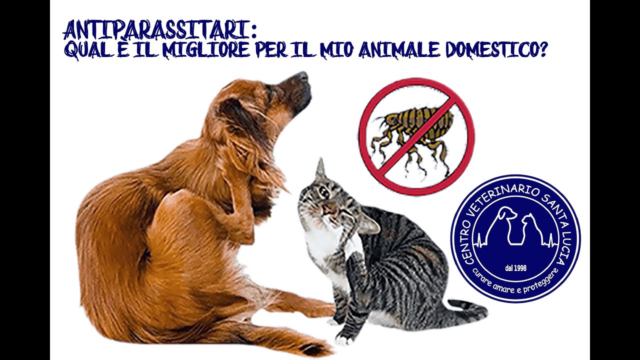 1. Antiparassitari – Qual è il migliore per il mio animale domestico? Il migliore per cane e gatto