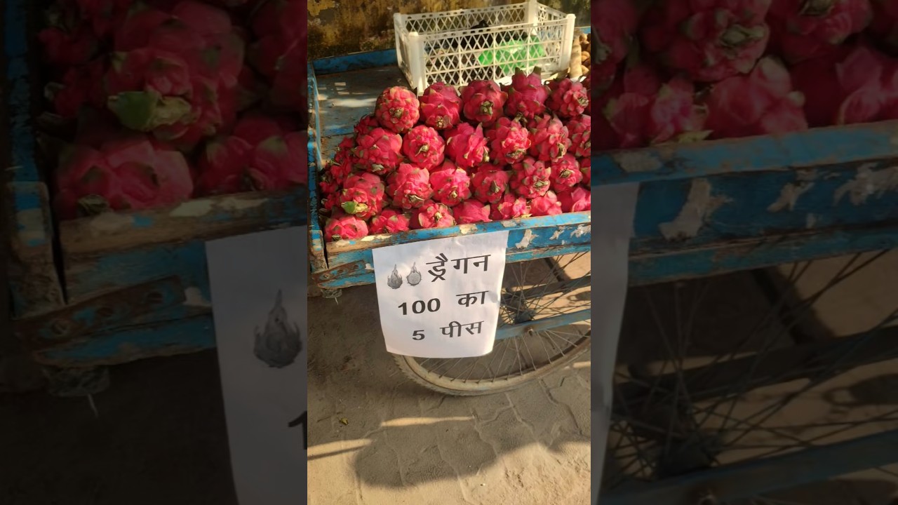 Dragon fruit price today 😱 healthy fruit with premium taste. 