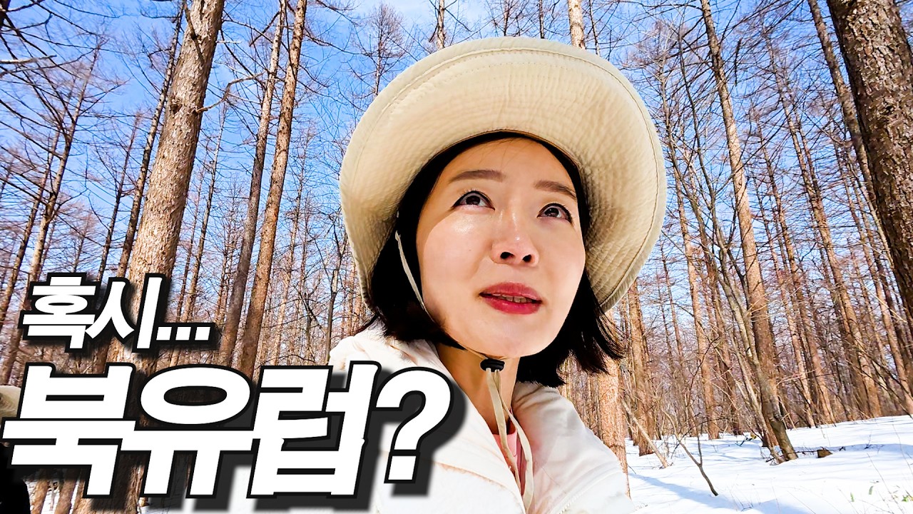 태백산 천제단 제일 빨리 다녀오는 유일사 코스