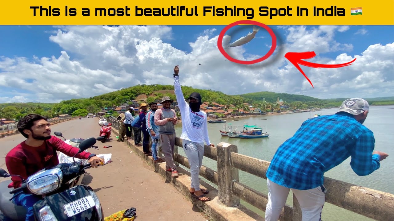 Amazing fishing in India🇮🇳 | mullet fishing | Indian fishing vlog | saltwater fishing