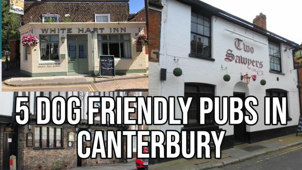 5 Dog Friendly Pubs in Canterbury Kent